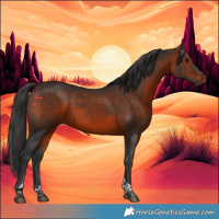 Horse Color:Brown Tobiano 