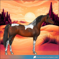 Horse Color:Brown Tobiano 