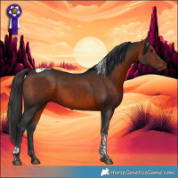 Horse Color:Bay Tobiano 