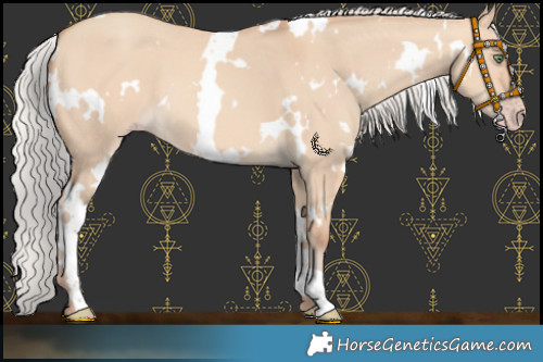 Horse Color:White Spotted Silver Amber Champagne Dun 
