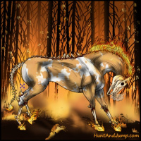 Horse Color:White Spotted Silver Buckskin