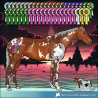 Horse Color:White Spotted Silver Bay 