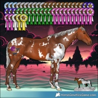 Horse Color:White Spotted Silver Bay 