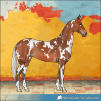 Horse Color:White Spotted Silver Bay 