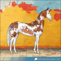Horse Color:White Spotted Silver Bay Splash Rabicano 