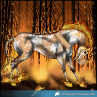 Horse Color:White Spotted Silver Bay Dun 