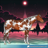 Horse Color:White Spotted Silver Bay 