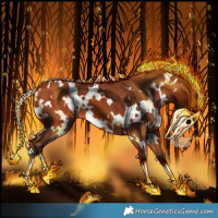 Horse Color:White Spotted Silver Bay 
