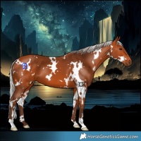 Horse Color:White Spotted Silver Bay 