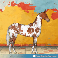 Horse Color:White Spotted Silver Bay 