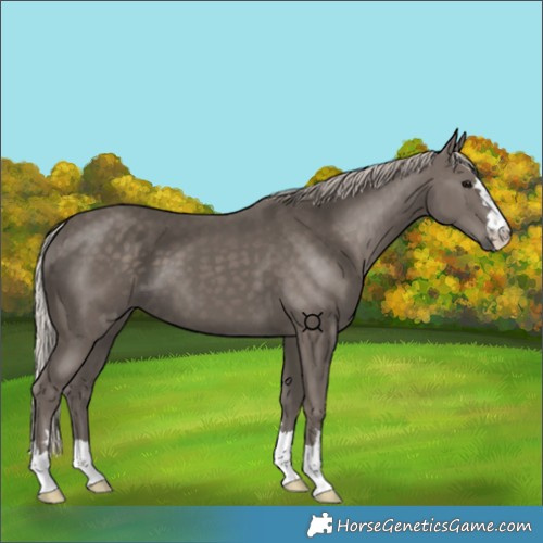 Horse Color:Silver Black 