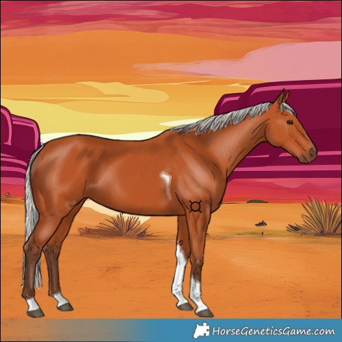 Horse Color:Silver Bay Tobiano 