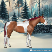 Horse Color:Painted Bay Splash Tobiano