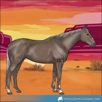 Horse Color:Silver Black