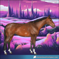 Horse Color:Bay Tobiano 