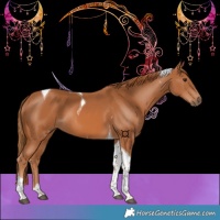 Horse Color:Chestnut Tobiano 