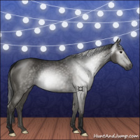 Horse Color:Gray Grullo