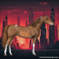 Horse Color:Chestnut Tobiano