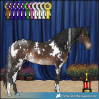 Horse Color:White Spotted Brown 