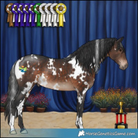 Horse Color:White Spotted Brown 