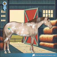 Horse Color:White Spotted Liver Red Dun Pearl 