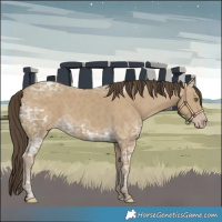 Horse Color:Classic Cream Champagne Ice 