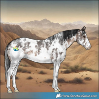 Horse Color:White Spotted Brown Sabino 