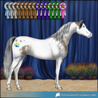 Horse Color:Buckskin Sabino Splash Tobiano 