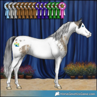 Horse Color:Buckskin Sabino Splash Tobiano