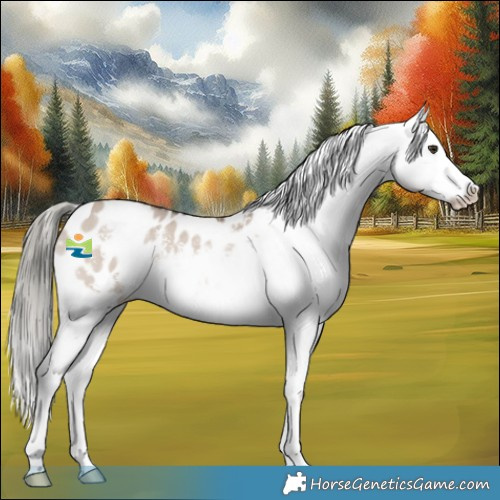 Horse Color:Liver Red Dun Mushroom Sabino Appaloosa 