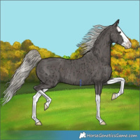 Horse Color:Liver Chestnut Ice Mushroom Splash 