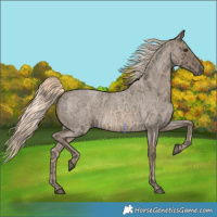 Horse Color:Chocolate Palomino Ice Roan Mushroom 