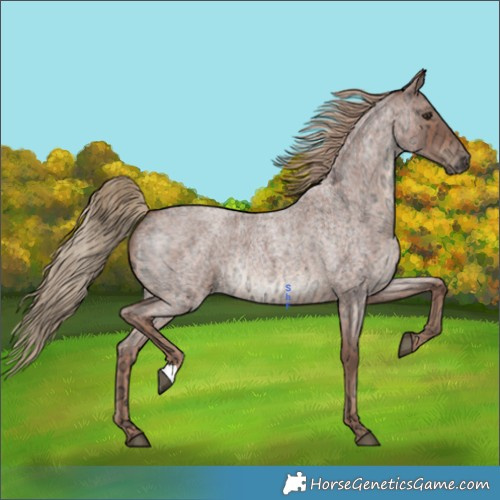 Horse Color:Red Ice Roan 
