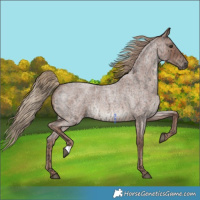 Horse Color:Red Ice Roan 