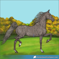 Horse Color:Liver Red Dun Ice Mushroom 