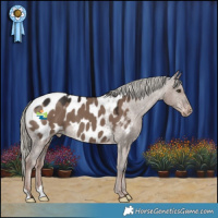 Horse Color:Liver Red Dun Mushroom Appaloosa 