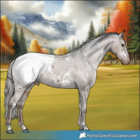 Horse Color:White Spotted Liver Red Dun Mushroom Appaloosa 