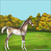 Horse Color:White Spotted Liver Red Onyx Mushroom Rabicano 