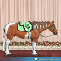 Horse Color:Silver Bay Tobiano 