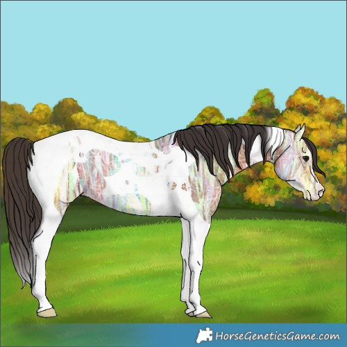 Horse Color:Bay Ice Tobiano