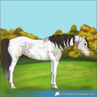 Horse Color:Bay Ice Tobiano 