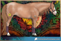 Horse Color:Gold Champagne 