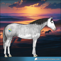 Horse Color:Smoky Blue Roan Splash Rabicano 
