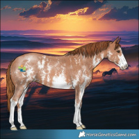 Horse Color:Chestnut Sabino 