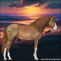 Horse Color:Chestnut Sabino 