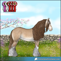 Horse Color:Gray Perlino Dun Tobiano