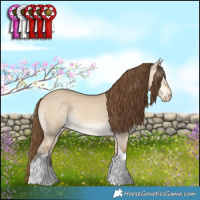 Horse Color:Gray Perlino Dun Tobiano