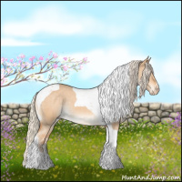 Horse Color:Gray Cremello Dun Tobiano Varnish 