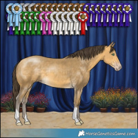 Horse Color:Sable Cream Champagne 