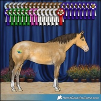 Horse Color:Sable Cream Champagne